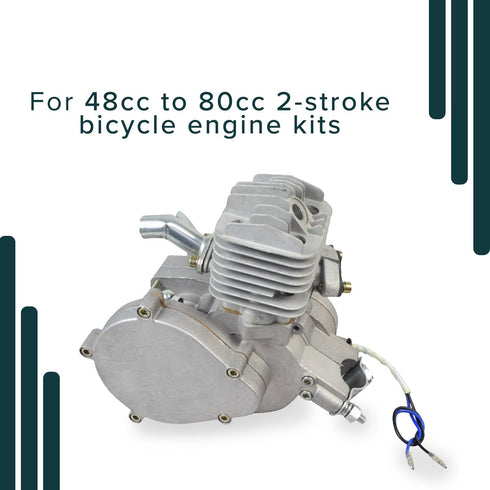 AlveyTech Recoil Pull Start Assembly for 48cc-80cc 2-Stroke Bicycle Engine Kits - Durable Cast Metal Housing Recoil Starter with Pawl, Handle and ...