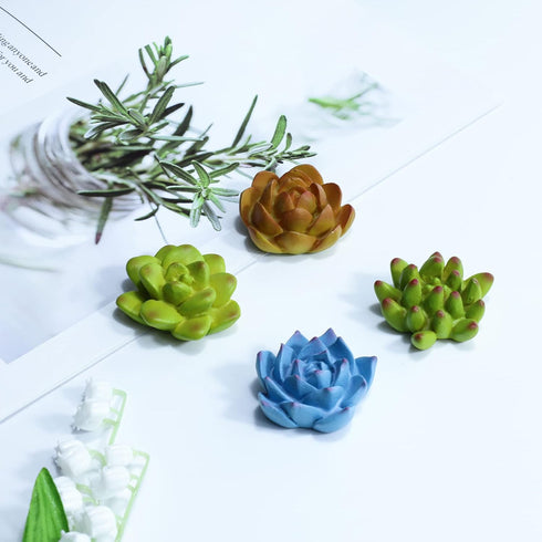 Plant Pattern 3D Resin Succulent Fridge Refrigerator Magnets, White Board Magnets for Home Refrigerator Office Display Board, Set of 8...
