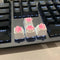 4 Pack Custom OEM R4 Keycaps PBT Mechanical Keyboard Keycaps Cute Cat Paw Key Cap Kawaii Gaming Keycaps for Mechanical Keyboard with Keycap Puller...