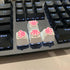 4 Pack Custom OEM R4 Keycaps PBT Mechanical Keyboard Keycaps Cute Cat Paw Key Cap Kawaii Gaming Keycaps for Mechanical Keyboard with Keycap Puller...
