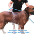 Pet Bathing Tools ?dog scrubber for bath?Sprayer and Scrubber in One?dog scrubber for bath?pet shower attachment...