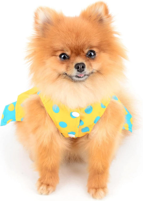 Dog Harness Dress for Small Medium Dogs Female Girls Polka Dots Tutu Skirt Beauty Pet Clothes with Leash 1.6m Cats Apparel Puppy Chihuahua Yorkie ...
