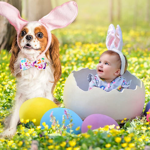 Unique style paws Easter Dog Collar, Holiday Bunny Eggs Dog Collar Bowtie, Pet Collar Bow for Small Medium Large Dogs...