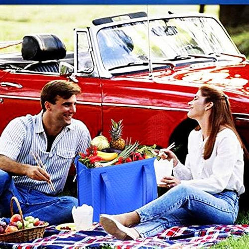 2PCS Insulated Shopping Bag,Insulated Grocery Bag,Grocery Cooler bag...