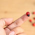 20-Piece Set: Seven-Spot Ladybug Décor - Wooden Handcrafted Simulation Beetle Garden with Realistic Ladybug Insect Miniature Sample Model - Yard, ...