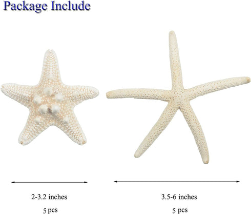 Jangostor 12 PCS Starfish 2-6 Inch Mixed Starfish Natural Seashells Starfish Star Fish Shells Decorations Perfect for Wedding Decor Beach Theme Pa...