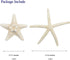 Jangostor 12 PCS Starfish 2-6 Inch Mixed Starfish Natural Seashells Starfish Star Fish Shells Decorations Perfect for Wedding Decor Beach Theme Pa...