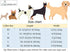 ARING PET Dog Collar Bowtie, Dog Collar with Bow, Adjustable Collars for Dogs Small Medium Large...