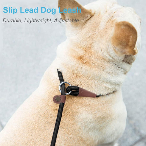 MayPaw Slip Lead Control Leash for Dogs No Pull, 13+ Colors Classic Dog Leash 7FT Pet Slip Leash, 1/4” Rope Leash for Small Medium Animals dark gr...