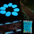 Glow in The Dark Rocks, 200PCS Fairy Garden Decorations Stones, Outdoor Decor for Patio Stepping Stone Kit, Pebbles for Plants/Yard/Backyard/Fish ...