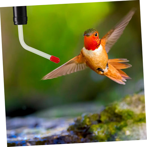 4pcs Hummingbird Water Feeder Pet Accessories Water Feeder Outdoor Pet Water Dispenser Birds Feeding Port Perky Pet Hummingbird Feeder Hummingbird...