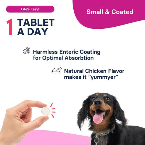 SAM-e Liver and Brain Health Supplement for Small Dogs and Cats - with S-aDENOSYLmethionine (Same), 60 Coated Tablets...