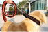 Dog Collar and Leash Set with Heavy Duty Dog Leash, Heavy Duty Rope Braided Dog Training Leash Strong Dog Leash, Durable Nylon Dog Training Leash ...