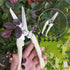 2 Pcs Garden Shears, Pruning Scissors Gardening Pruner Cutters Plant Cutting Scissors Trimmers Secateurs for Gardening Shears, Garden Scissors Hea...