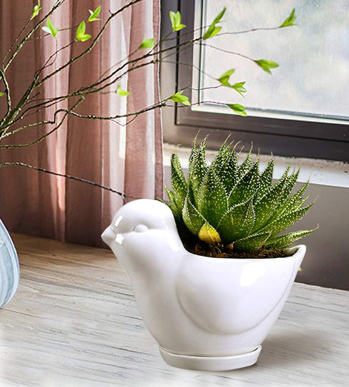 GeLive White Bird Ceramic Succulent Planter Animal Plant Pot Flower Vase Bonsai Windowsill Box with Drainage Saucer Adorable Indoor Home Decoratio...