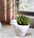 GeLive White Bird Ceramic Succulent Planter Animal Plant Pot Flower Vase Bonsai Windowsill Box with Drainage Saucer Adorable Indoor Home Decoratio...