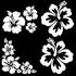 Hibiscus Decal 4 Pack, Hawaiian Hibiscus Flower Decals (Hibiscus White, Small ~3.5")...