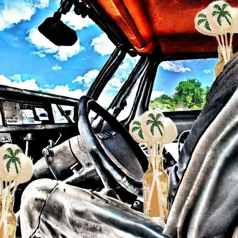 OASIS PAD for Car Humidification,24hrs free power supply humidifier, can enjoy the natural humidification effect anytime, anywhere in the car....