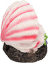 Tnfeeon Aquarium Shell Air Bubbler Decoration Simulation Artificial Resin Fish Reservoir Shell Ornament with Air Bubble Stones...
