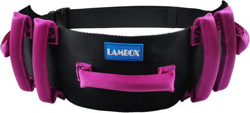 Gait Belt-Transfer Belt with 7 Nylon Padded Handles,Medical Nursing Safety Gait Assist Device for Elderly, Seniors, Physical Therapy (Rose Red, 60...