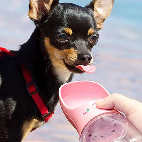 Dog Travel Water Bottle,Portable Dog Water Bottle Pet Drinking Bottle Drink Cup Dispenser for Walking Traveling Hiking, Multifunctional Outdoor Wa...