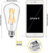 Ascher Vintage LED Edison Bulbs 60 Watt Equivalent, Eye Protection Led Bulb with 95+ CRI, Bright Warm White 2700K, Non-Dimmable, ST58 Antique LED ...