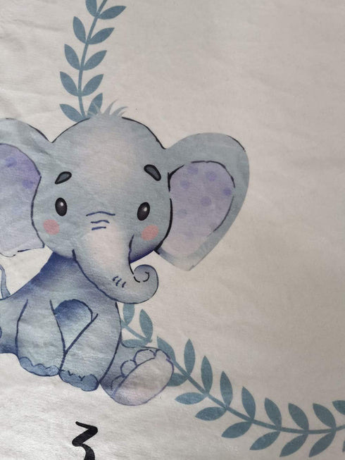 Baby Monthly Milestone Blanket Twins Girl Pink Boy Blue Elephant Newborn Nursery Decor Photo Props Shoots Photography Growing Toddlers Soft Fleece...