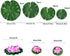 11Pcs Artificial Floating Plants Water Lily Lotus Flower and Leaves Pads for Home Garden Ponds Pool Aquarium Fish Tank Landscape Decoration...