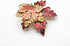 Metal Maple Leaf Fashion Brooch Retro Oil Lapel Pins Thanksgiving Brooch Pin Autumn Fall Leaves Gift Decoration Jewelry Accessory...