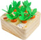 Wooden Toys for 1 2 3 Year Old Baby Boys and Girls, Montessori Toy Carrot Harvest Game Shape & Sorting Matching Puzzle, Educational Developmental ...