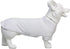 Lovelonglong Pet Clothing Dog Costumes Dachshund Clothes Blank T-Shirt Tee Shirts for Dachshund Dogs,Corgi 100% Cotton White D-XL...