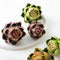 Artificial Artichoke Vegetables Wedding Party Home Decor Set of 6 (Small, Green)...