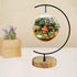 Archi G-Shaped Ornament Display Stand Iron Pothook Stand for Hanging Glass Terrarium/Picture with Wood Base (Iron Stand with Wood Base)...