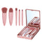 Travel Makeup Brush Set 5PCS Mini Make up Kit Portable Complete Function Cosmetic Brushes Kit Cheap Makeup Brush Kit Cute Makeup Brush for Eyeshad...