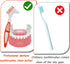 Giantree 4 Pcs Denture Brush for False Teeth, Denture Toothbrushes with Double Sided Portable Denture Cleaning Brush with Multi-Layered Soft Brist...