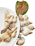 105g Hermit Crab Shells,White Yellow Natural Sea Conch Size30mm-40mm,Turbo Seashells for Hermit Crab Supplies and Beach Decoration Large Sea Shel,...