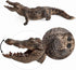 2 Pcs Simulated Crocodiles Model Figure Toy, Realistic Alligator Figurines Collection Playset Science Educational Props...