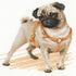 RIOLIS - Pug Dog 1176, Dogs Cross Stitch Kits 9,84" x 9,84", Counted Cross Stitch Kits, Counted Cross Stitch Kits for Beginners & Advanced, Cross ...