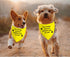 JXGZSO 1 Piece Nervous Anxious Dog Bandana Ask to Pet Dog Bandana Nervous Dog Gear (a Little Scared D)...