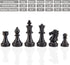 AMEROUS 10 Inches Magnetic Travel Chess Set with Folding Chess Board - 2 Extra Queens - Storage Bag for Pieces - Instructions for Beginner, Kids a...