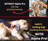 MISTIC COOL Alpha Pro | Dog Trimmer for Grooming | Painlessly Safely Removes Knots Tangles from Long Haired Dog Dematting Comb for Dogs Pet Groomi...