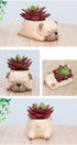 Home Decor Pot, Animal Succulent Planter Flowerpot for Home Office Desk Decoration (Sleep Pug)...