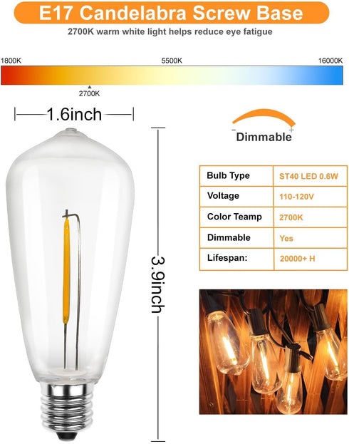 SUNSGNE 25Pack LED Edison Light Bulbs, 0.6 Watt Shatterproof Dimmable Replacement Bulbs ST40 E17 Clear Plastic LED Light Bulbs for Outdoor Patio S...