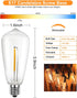 SUNSGNE 25Pack LED Edison Light Bulbs, 0.6 Watt Shatterproof Dimmable Replacement Bulbs ST40 E17 Clear Plastic LED Light Bulbs for Outdoor Patio S...
