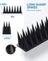 Bird Spikes for Outside, 9 Pack Bird Deterrent Spikes for Small Robin Pigeon Squirrel Raccoon Crow Cats Defender Spikes to Keep Birds Away and Kee...