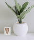 Collins Painting Mini Carved Wood Block Sign (You Are So Loved)...