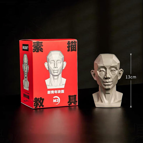 Generic Planar Head Model for Artists Learn Planes of Face, Human Manikin Head for Medical and Artistic Drawing Skecthing Painting, Color White (L...