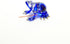 Handmade Mini 2" Glass Blue Frog Figurines Blown Glass Art/Miniature Animals/Collectible Figures Gift Ideas/Tiny Ornament Cool Stuff Decor N5...
