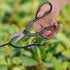 Bonsai Scissors, Trimming Tree Pruning Plants Flowers Arranging Loppers Japanese Butterfly Deadheading Pruner Herb Shears Garden Snip Tool for Gro...