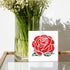 4pcs Rose Flower Stencils 6~11.8inch 4 Sizes Blooming Roses Stencils for Painting with Paint Brush Reusable Love Heart Floral Stencil for DIY Art ...